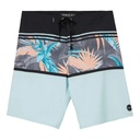 ONeill Men's Variety 20" Boardshorts