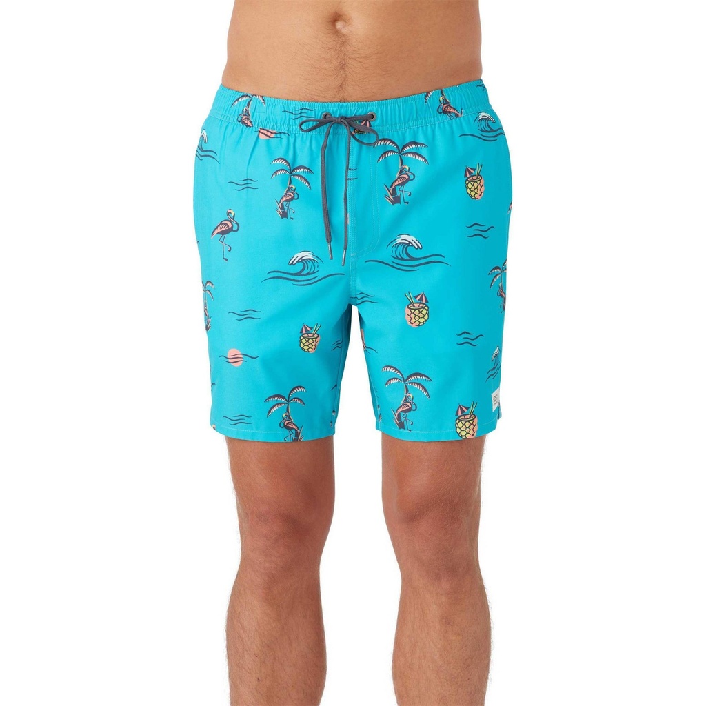 ONeill Men's Hermosa E Waist Lined Volley 17" Boardshorts