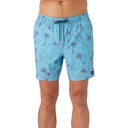ONeill Men's Hermosa E Waist Lined Volley 17" Boardshorts