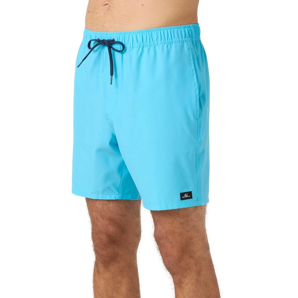 O'Neill Men's Lennox Hermosa Solid 17" Volley Shorts