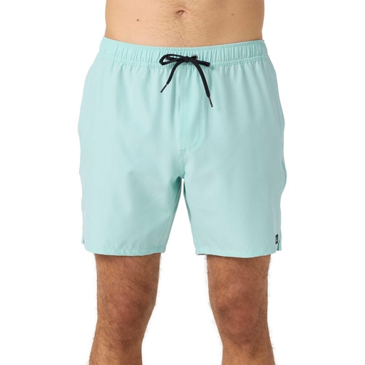 O'Neill Men's Lennox Hermosa Solid 17" Volley Shorts