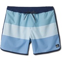 Quiksilver Men's Surfsilk Tijuana 17" Boardshorts