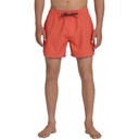 Quiksilver Men's Everyday Solid 15 in Swim Trunks