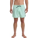 Quiksilver Men's Everyday Solid 15 in Swim Trunks