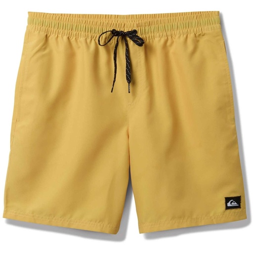 Quiksilver Men's Everyday Solid 15 in Swim Trunks