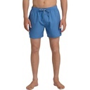 Quiksilver Men's Everyday Solid 15 in Swim Trunks