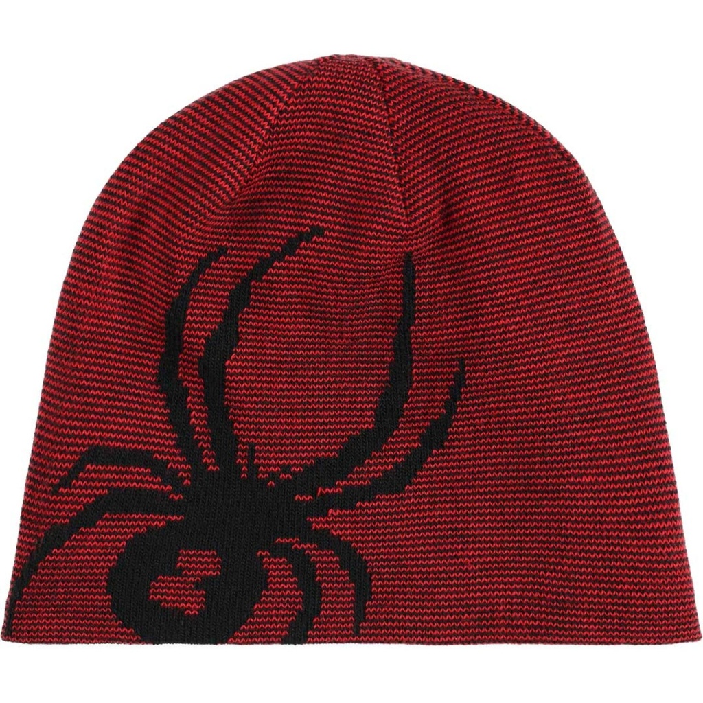 Spyder Boys' Reversible Bug Beanie