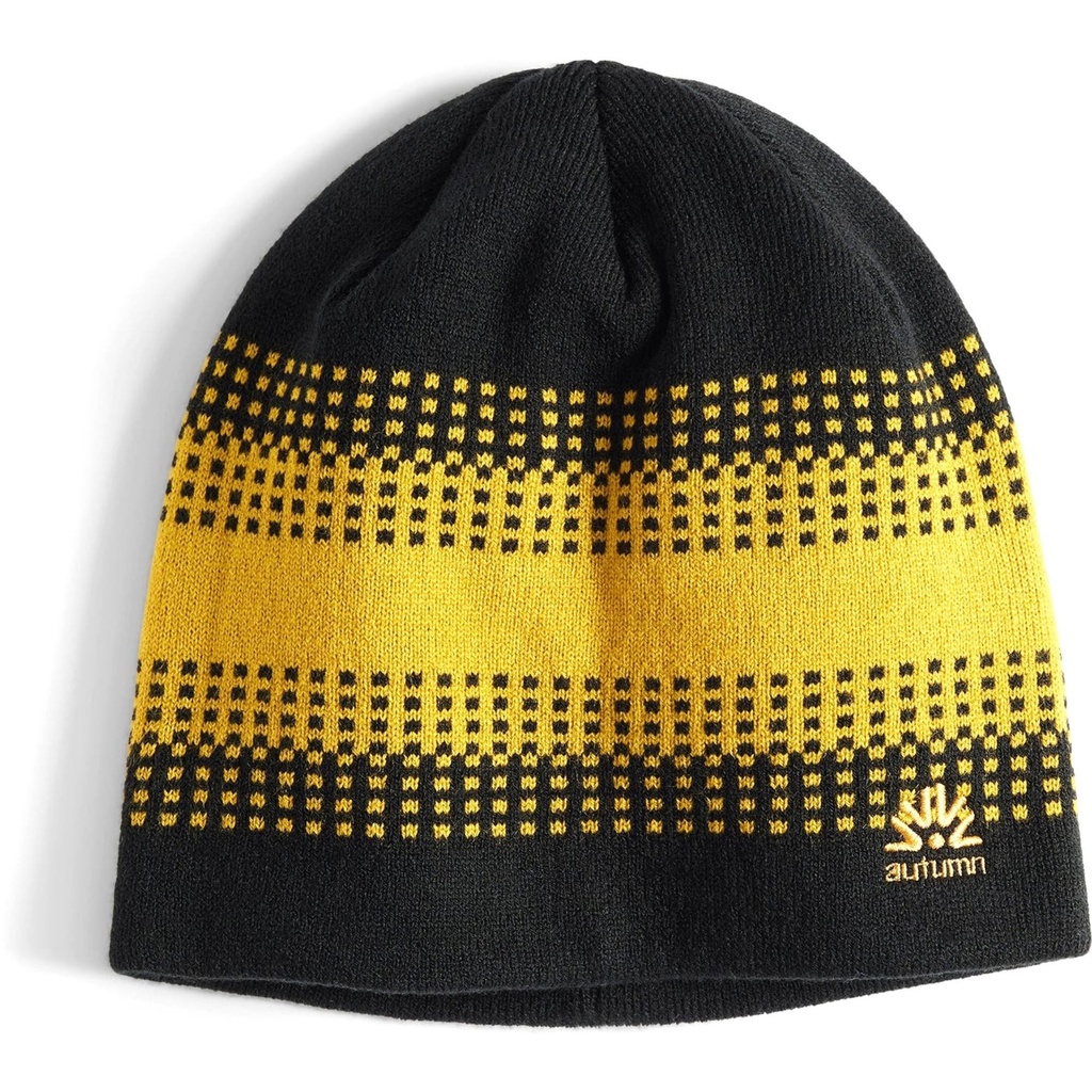 Autumn Warp Beanie