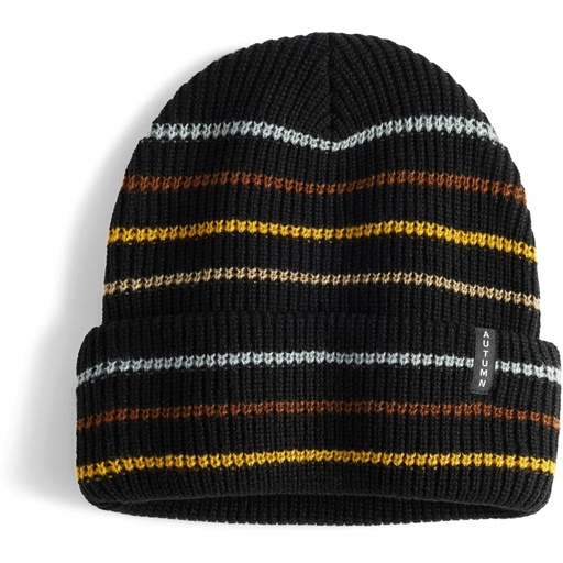 Autumn Multi Stripe Beanie