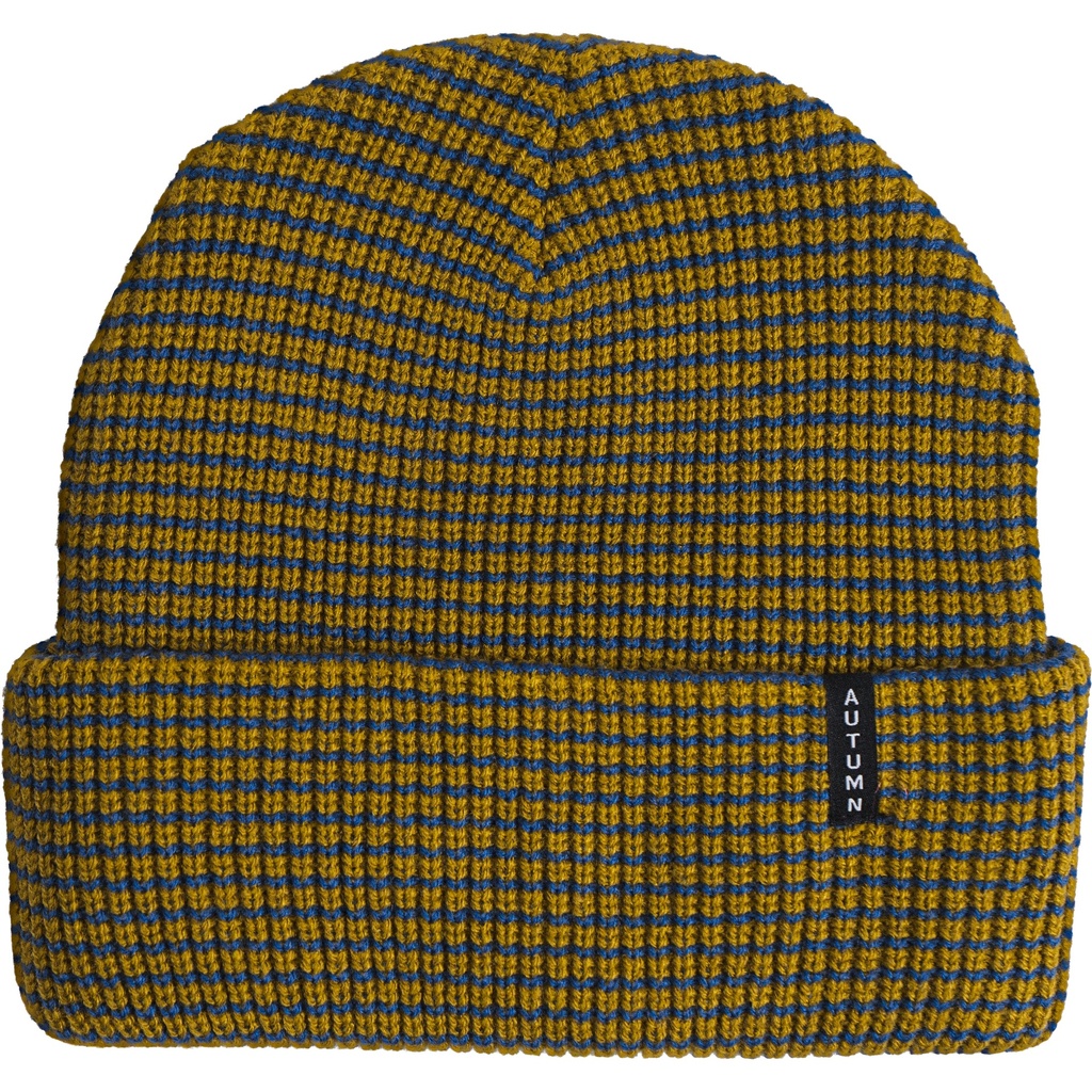 Autumn Stripe Beanie