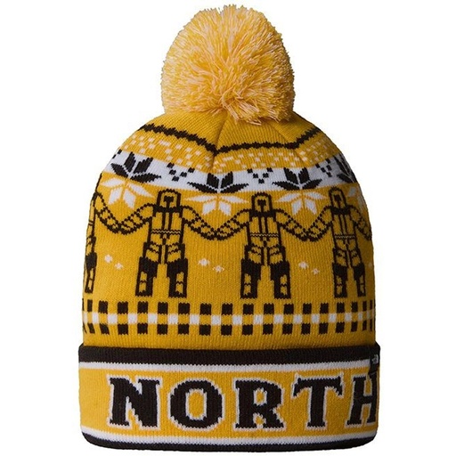 The North Face Ski Tuke Beanie
