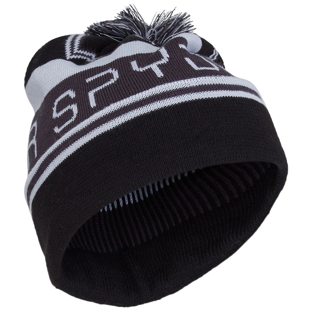 Spyder Men's Icebox Beanie