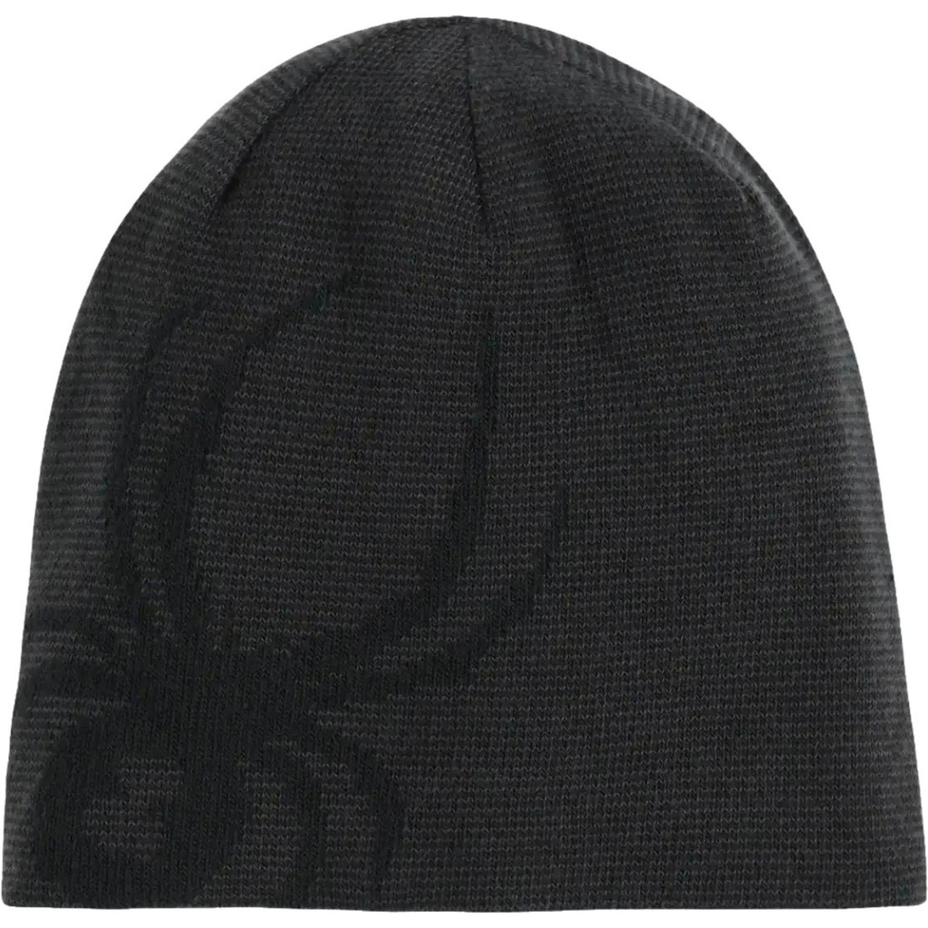 Spyder Men's Reversible Innsbruck Hat