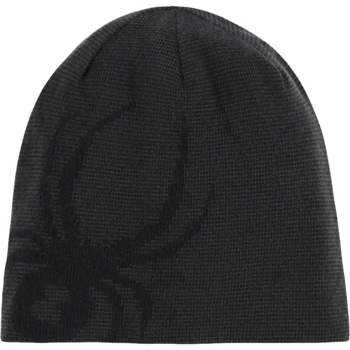 Spyder Men's Reversible Innsbruck Hat