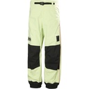 Helly Hansen Men's ULLR D Snow Pants 2.0