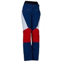 Spyder Women's Echo GORE-TEX Snow Pants