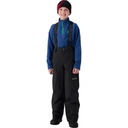 Spyder Boys' Propulsion Snow Bib Pants