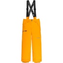 Spyder Boys' Propulsion Insulated Snow Pants