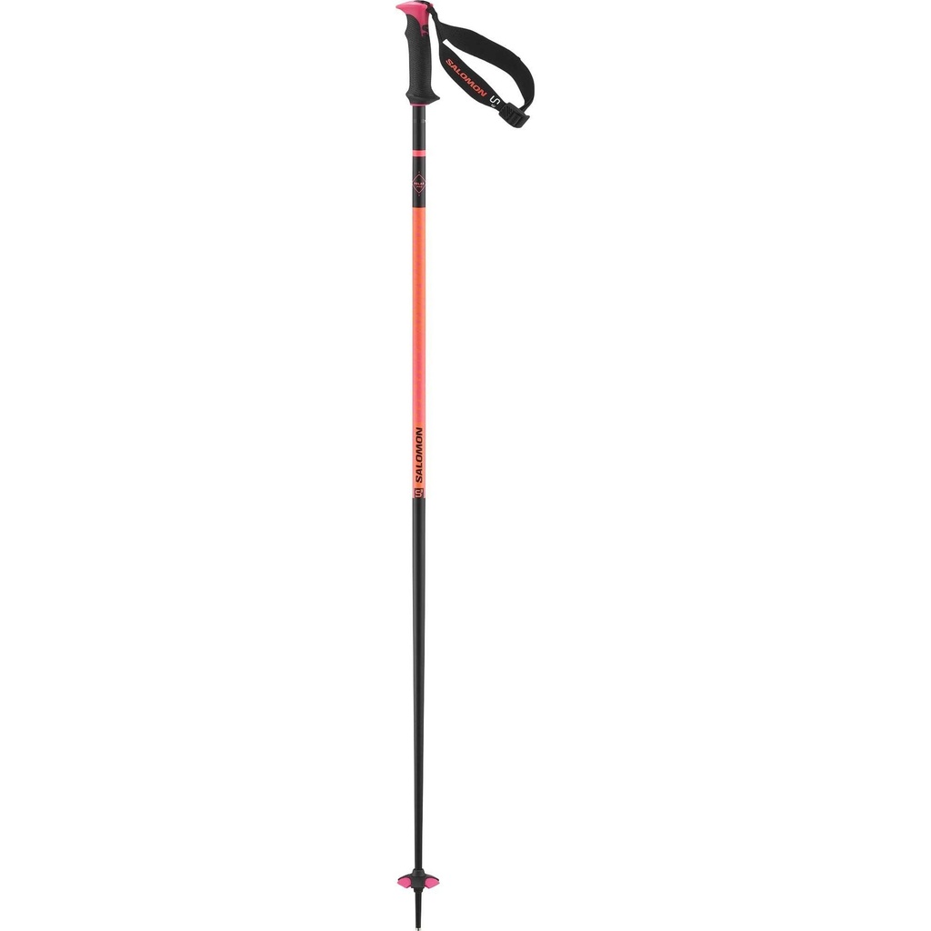 Salomon Polar Pro S3 Ski Poles