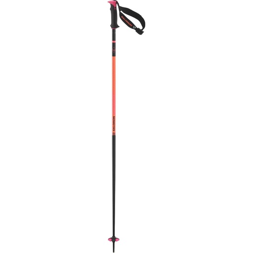 Salomon Polar Pro S3 Ski Poles