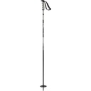 Salomon Steep Ski Pole