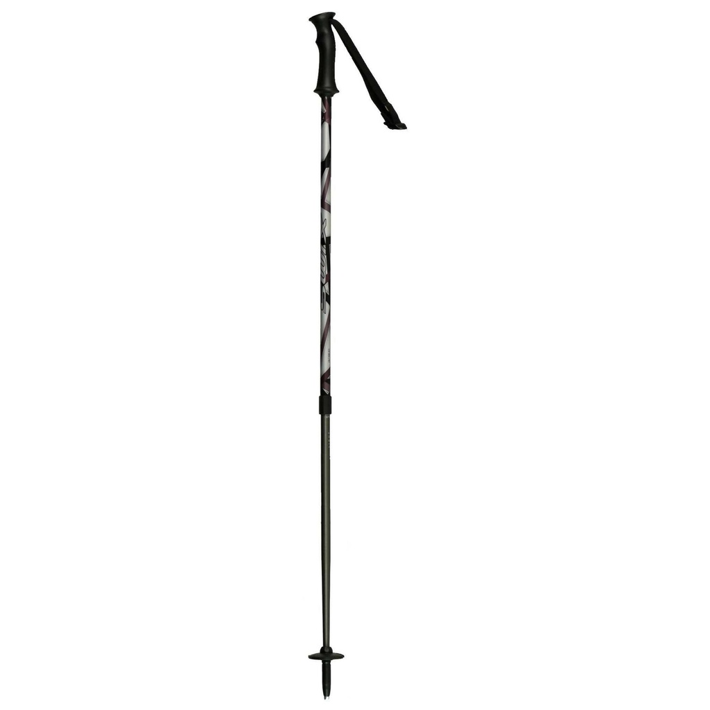 Swix Adjustable Ski Poles