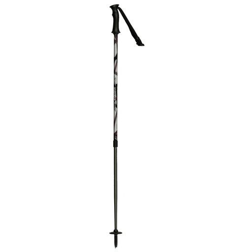 Swix Adjustable Ski Poles
