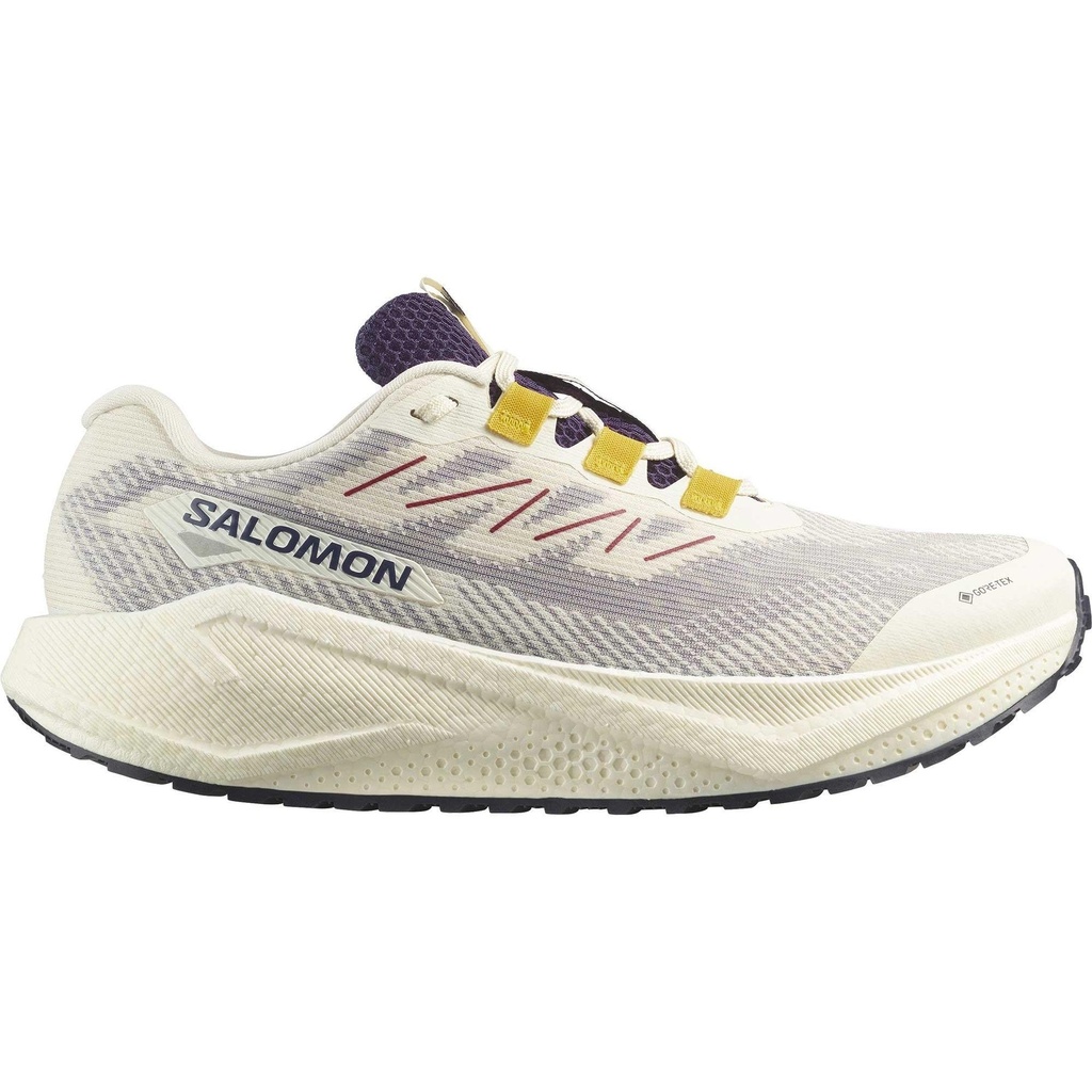 Salomon Men's AERO BLAZE 3 GRVL GTX Running Shoes