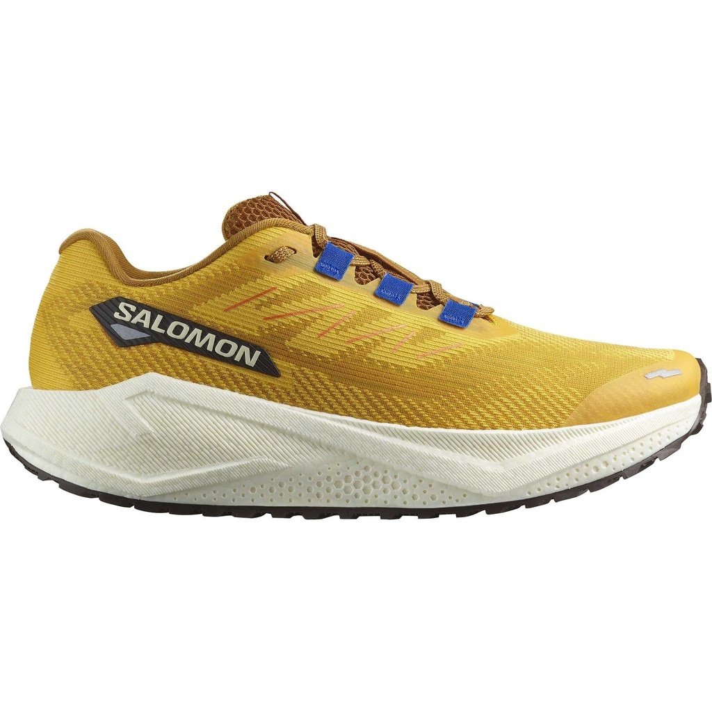 Salomon Men's AERO BLAZE 3 GRVL Running Shoes