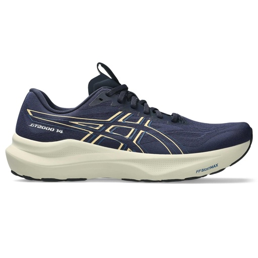 ASICS Men's GT-2000 14 Running Shoes