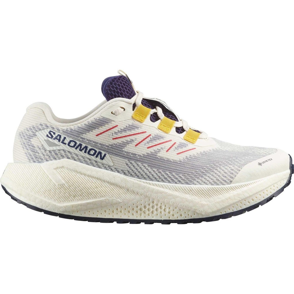 Salomon Women's AERO BLAZE 3 GRVL GTX Running Shoes