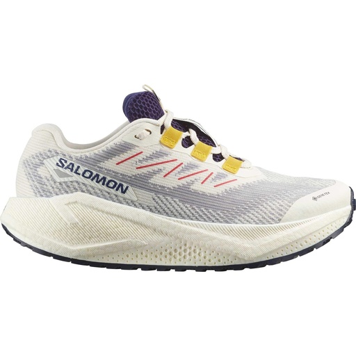 Salomon Women's AERO BLAZE 3 GRVL GTX Running Shoes