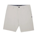 ONeill Men's Reserve Heather 19" Shorts