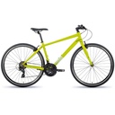 Batch Fitness Bicycle