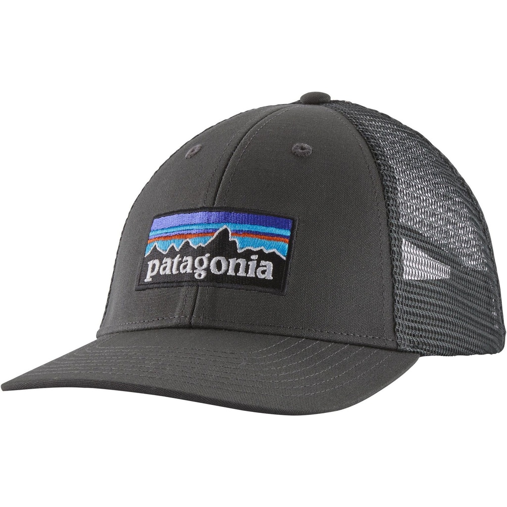 Patagonia Men's P-6 Logo LoPro Trucker Hat