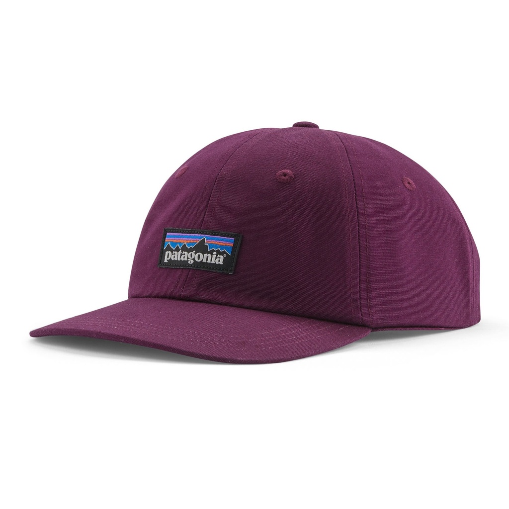 Patagonia Men's P-6 Label Trad Cap
