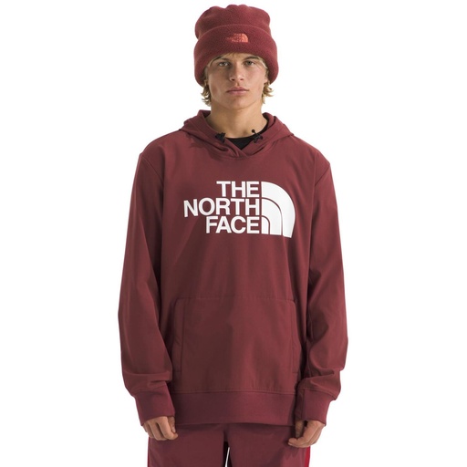 The North Face Men's Tekno Logo Hoodie