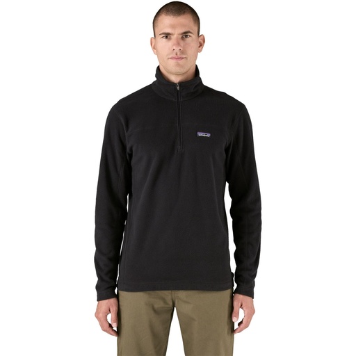 Patagonia Men's Micro D Pullover