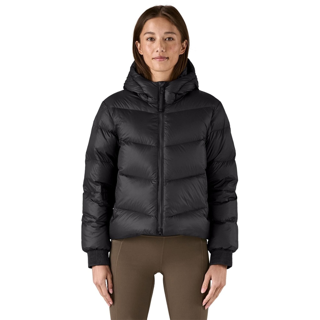 Patagonia Women's Sindit Hoodie Jacket