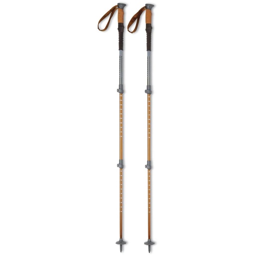 Liberty Mountain RANGE 2.0 Ski Poles