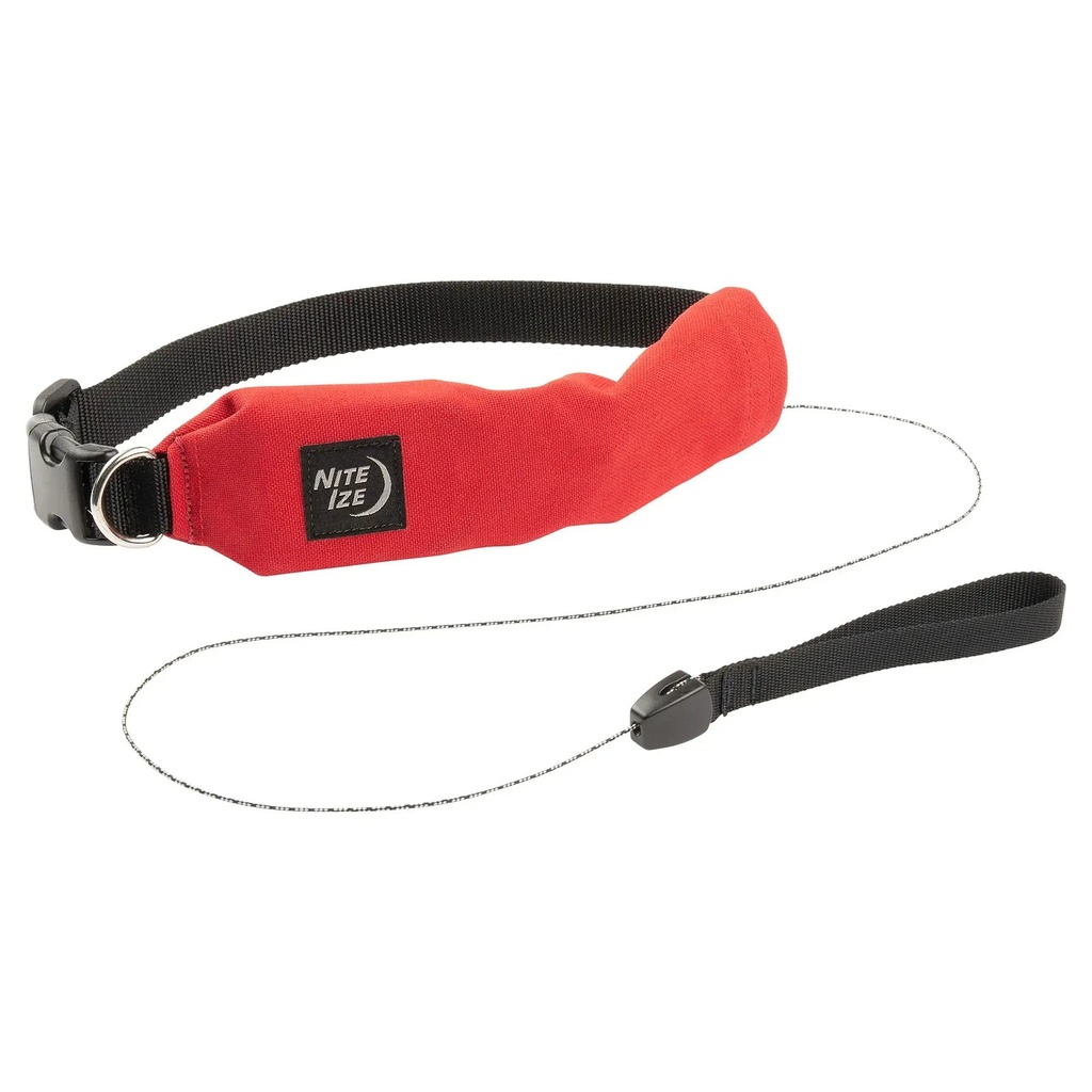Nite Ize RadDog All-In-One Collar and Leash