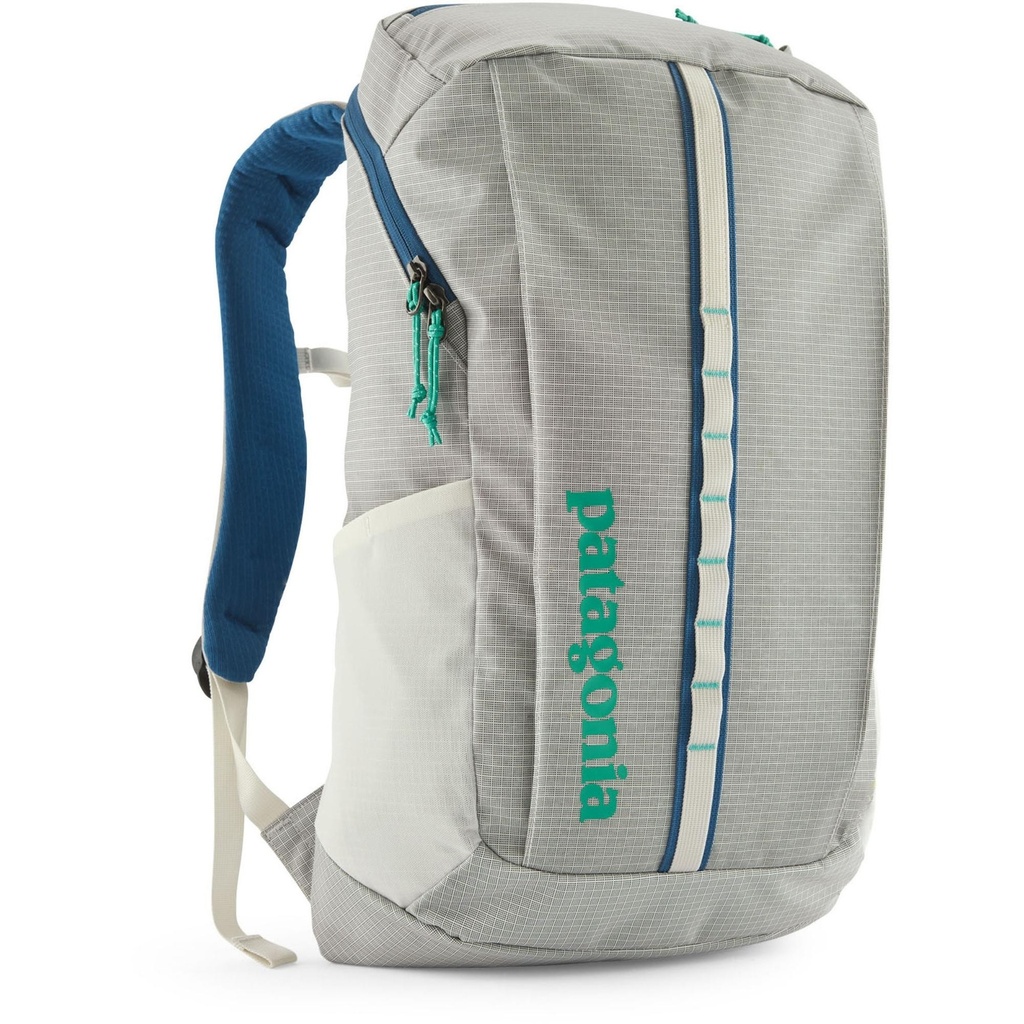 Patagonia Black Hole 25L Daypack