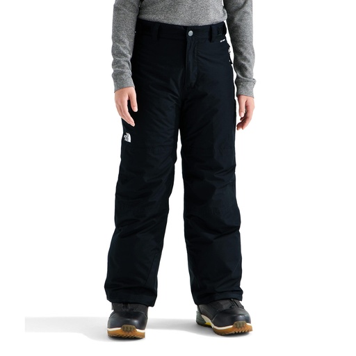 The North Face Boys' Freedom Insulated Pant