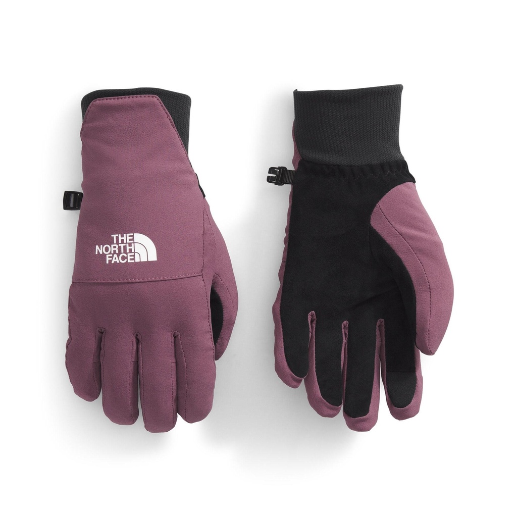 The North Face Women's Shelbe Raschel Etip Gloves