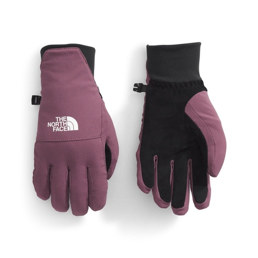The North Face Women's Shelbe Raschel Etip Gloves