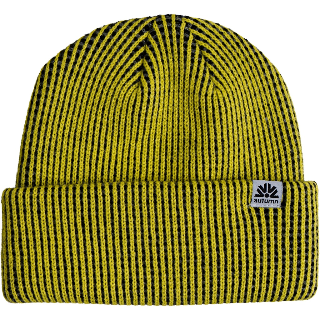 Autumn Static Beanie